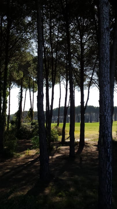 Golfplatz: Wunderschön zum spazieren! Maxx Royal Belek Golf Resort