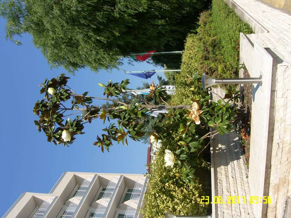 Außenansicht Hotel Bilyana Beach