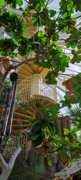 Pool Center Parcs De Vossemeren