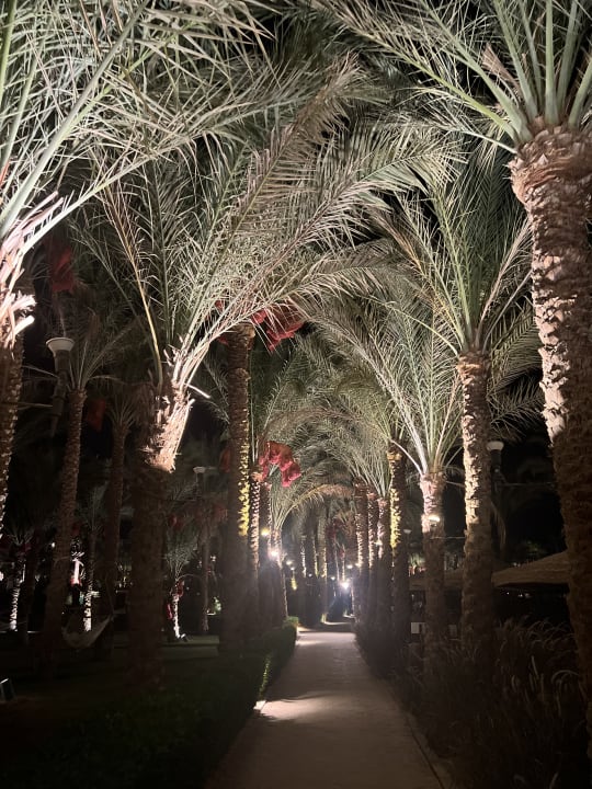 Gartenanlage Fort Arabesque Resort, Spa & Villas