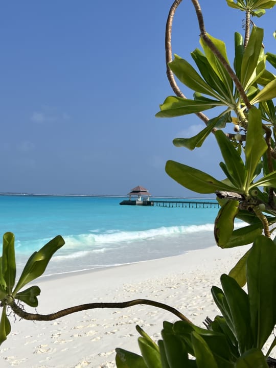 Strand Hondaafushi Island Resort