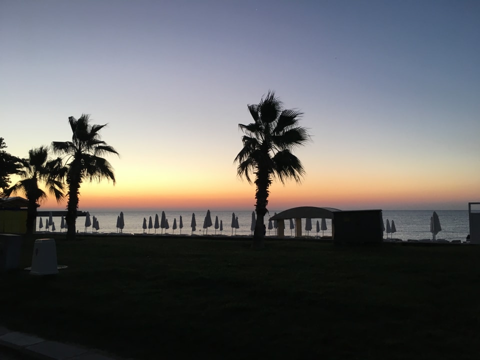 Strand Sentido Marea