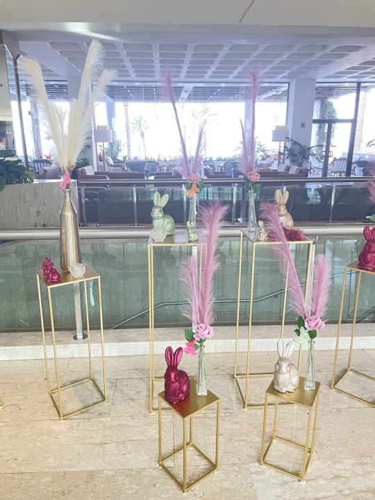 Lobby TUI BLUE Pioneer Beach