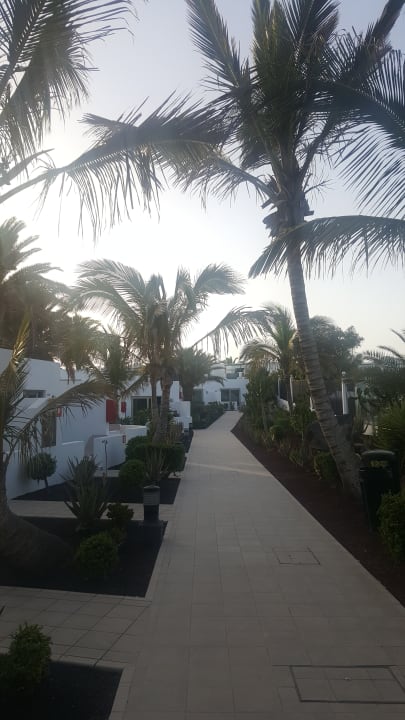 Gartenanlage Hotel Las Costas