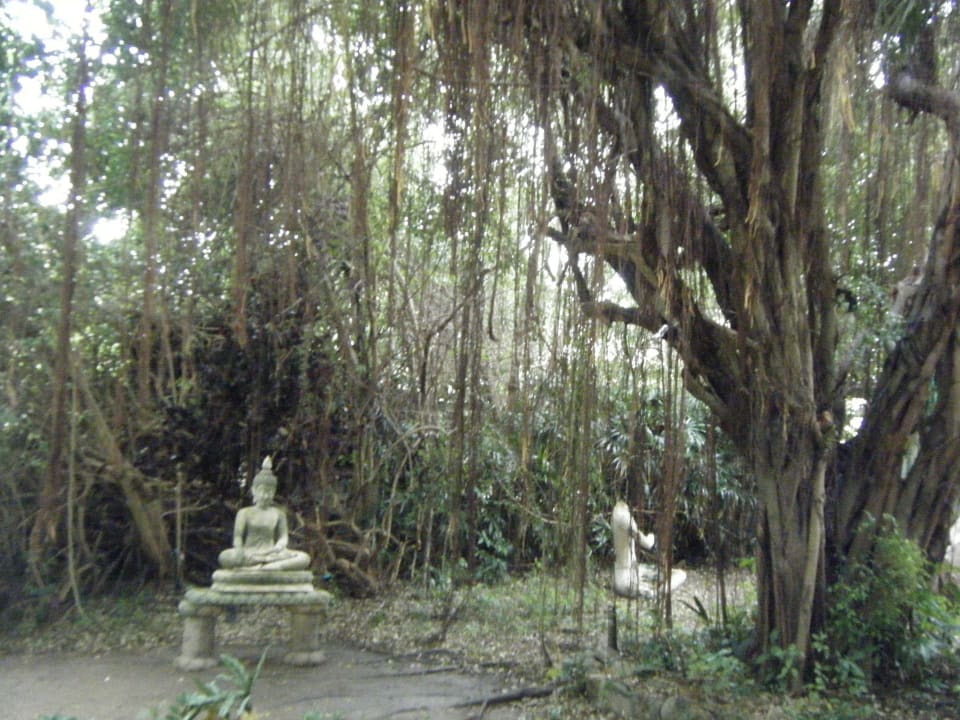 Deko im Garten Hotel Samui Beach Resort