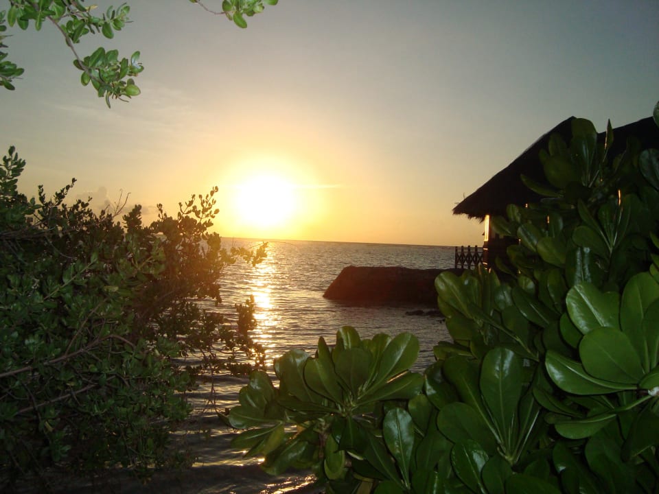 Ohne Worte Summer Island Maldives