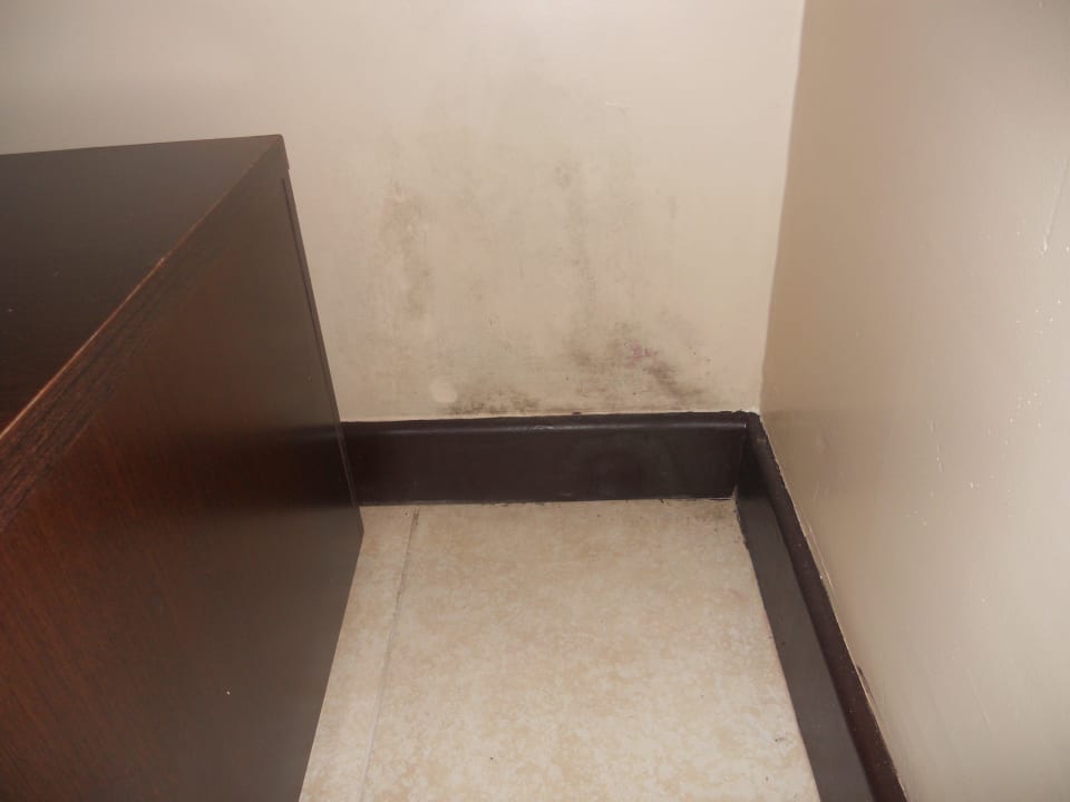 Mold everywhere Enotel Resort & Spa Porto De Galinhas