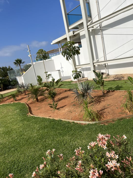 Gartenanlage Asterias Beach