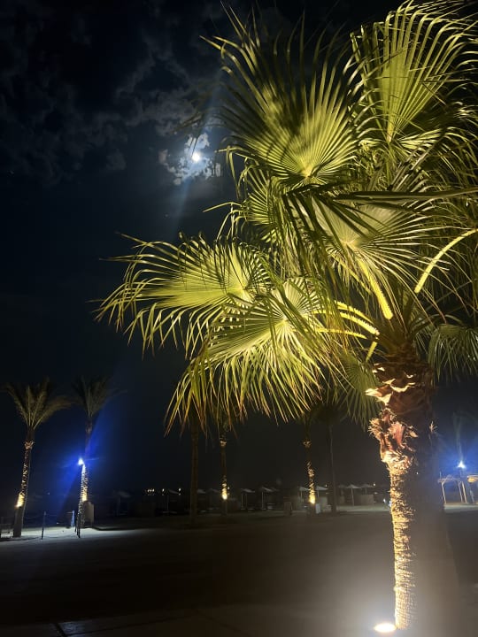 Gartenanlage Casa Mare Resort