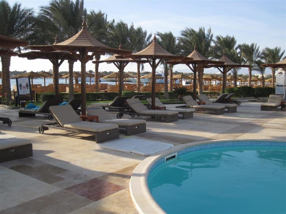 Es war en noch viele Liegen frei am VIP Pool SUNRISE Royal Makadi Resort