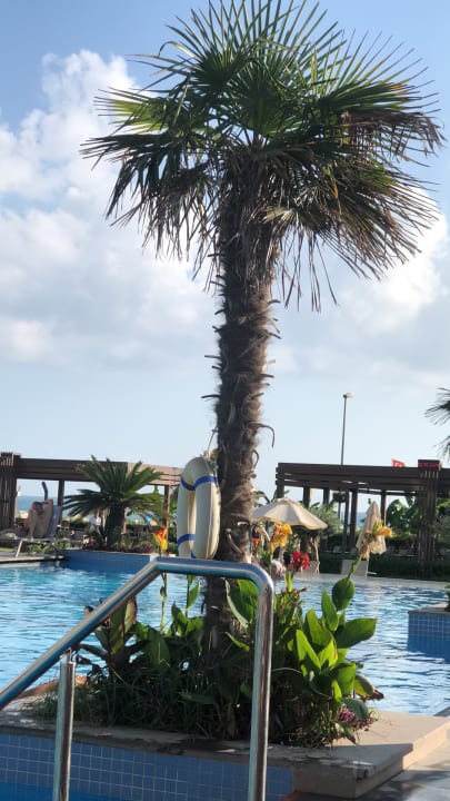 Pool Seaden Quality Resort & Spa