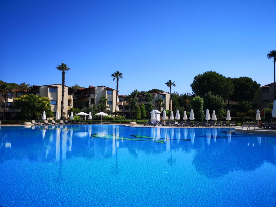 Pool Bellis Deluxe Hotel