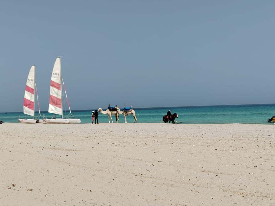 Strand TUI MAGIC LIFE Penelope Beach