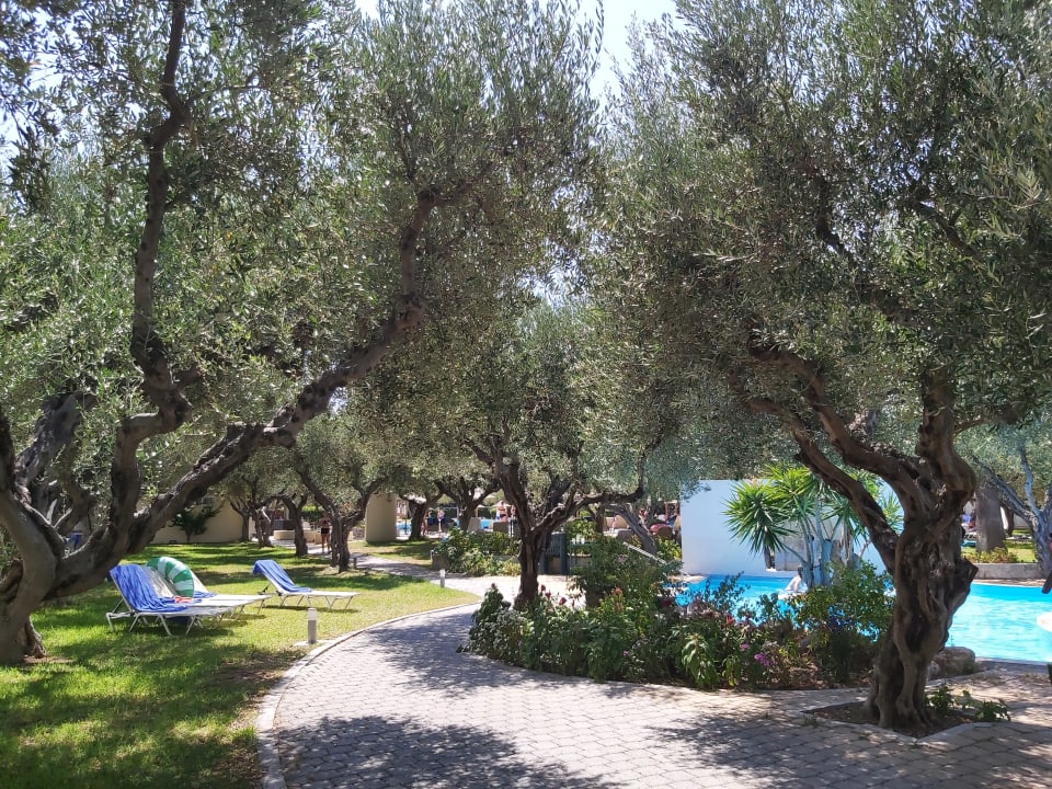 Gartenanlage TUI KIDS CLUB Alex Beach