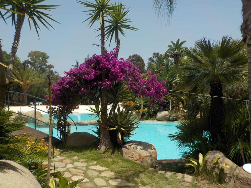 Pool Happy Camp Camping Village L'Ultima Spiaggia