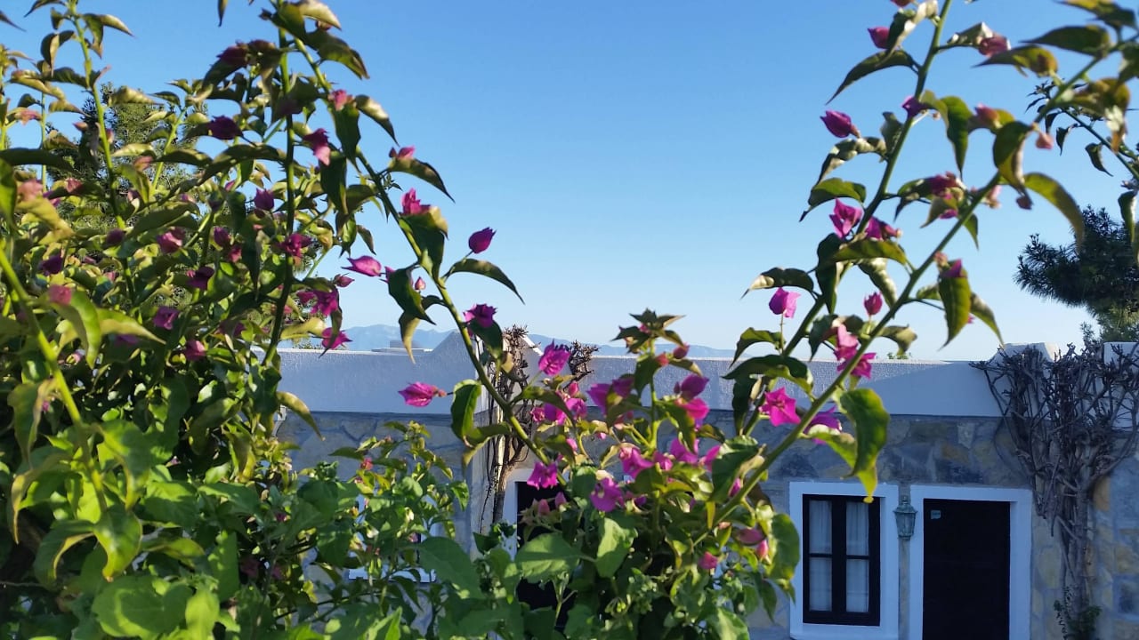 Garten mit Wohnhaus Bodrum Park Resort