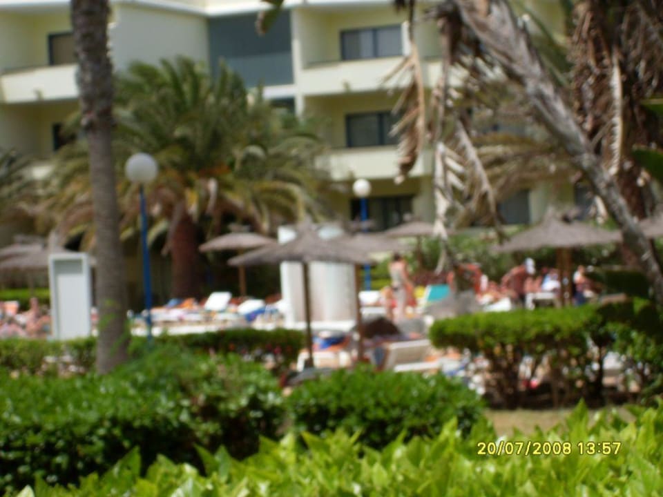 Garten mit Anlage SBH Fuerteventura Playa