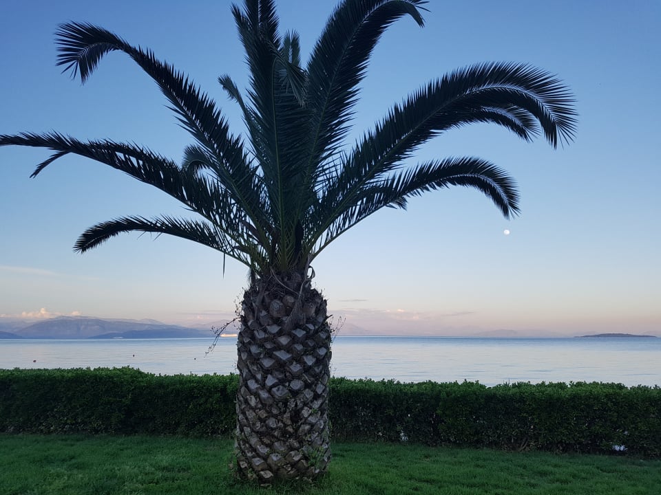 Gartenanlage Elea Beach Hotel