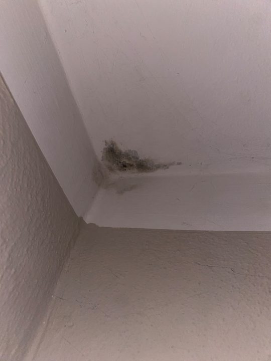 Zimmer Hotel Restaurant Hackmann-Atter