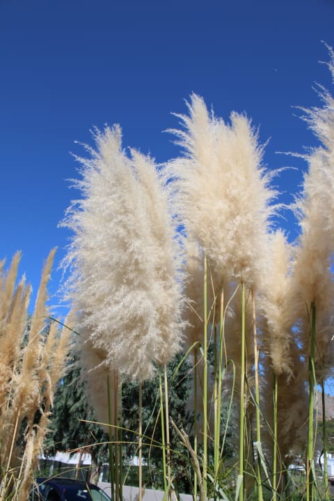 Gartenanlage Lindos Imperial Resort & Spa