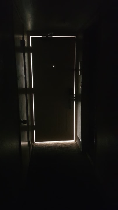 Zimmer Lexington Hotel Miami Beach