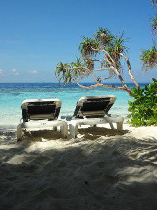 Eigene Liegestühle Vilamendhoo Island Resort & Spa