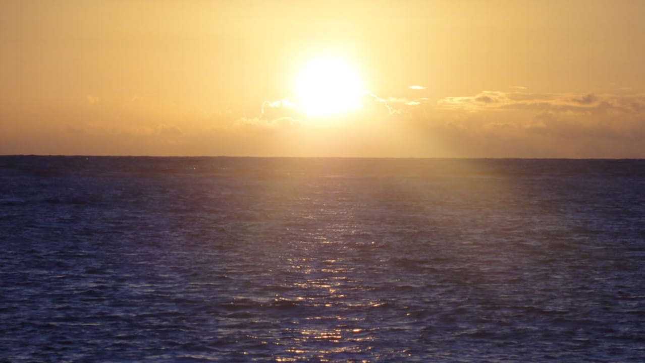 Sonnenaufgang Catalonia Royal Bavaro - Adults only