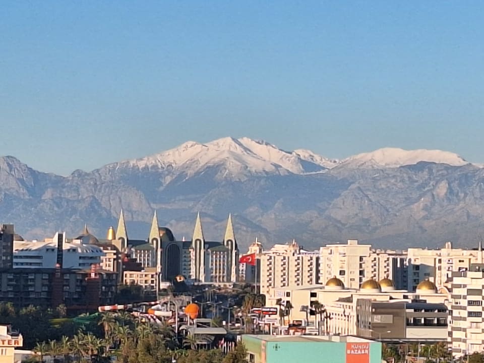 Zimmer Royal Seginus