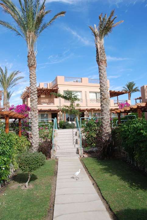 Blick auf Zimmerreihe 2000 Shams Prestige Abu Soma-Adults Only