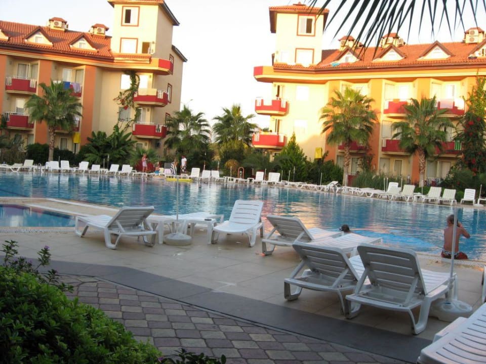 Hotelpool Hotel Orfeus Park