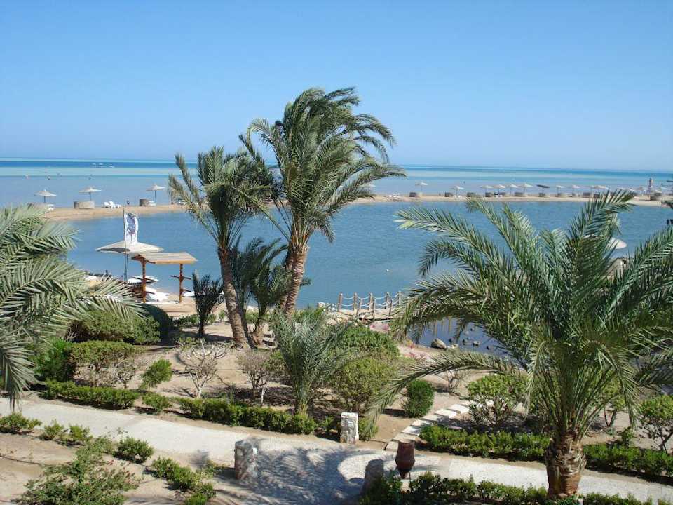 Zimmer mit Meerblick Mövenpick Resort & Spa El Gouna