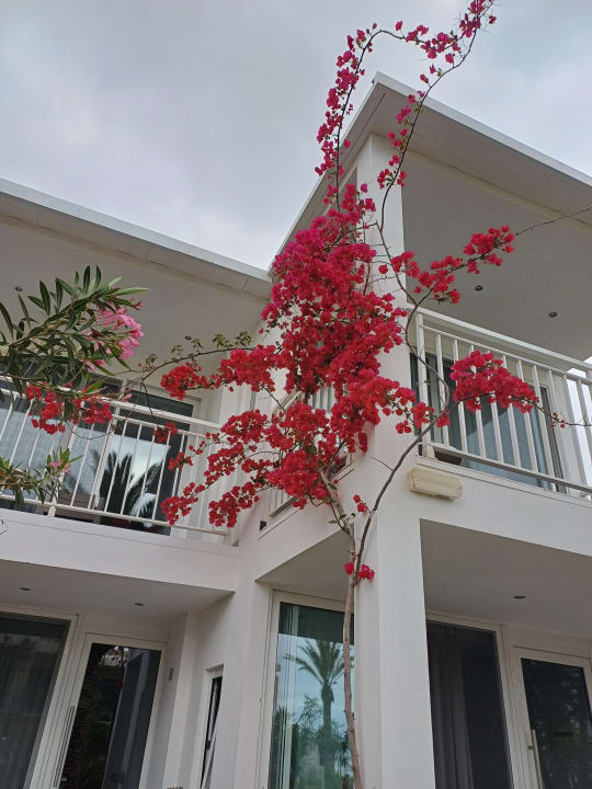 Außenansicht HARPIN Happy Days Beach Hotel