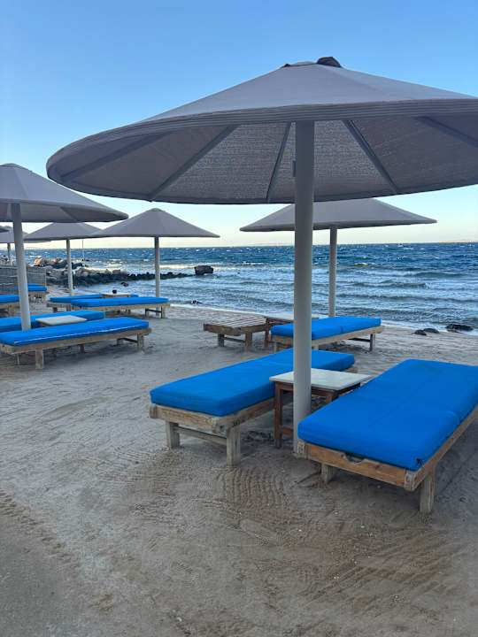 Pool Pickalbatros Citadel Resort