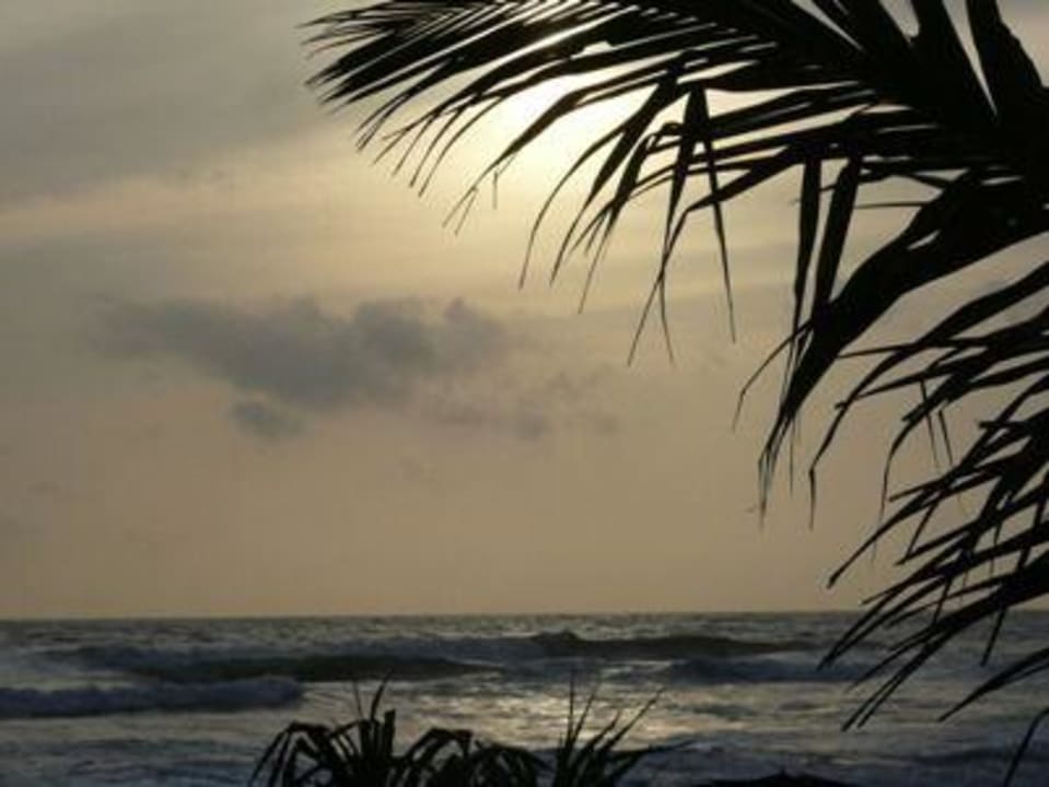 wie im Prospekt Thaala Bentota