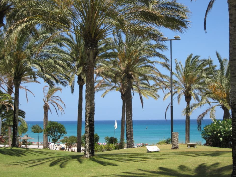 Garten SBH Hotel Costa Calma Palace