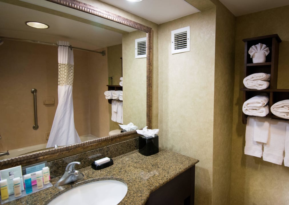 Bathroom Hampton Inn & Suites Fort Myers Beach