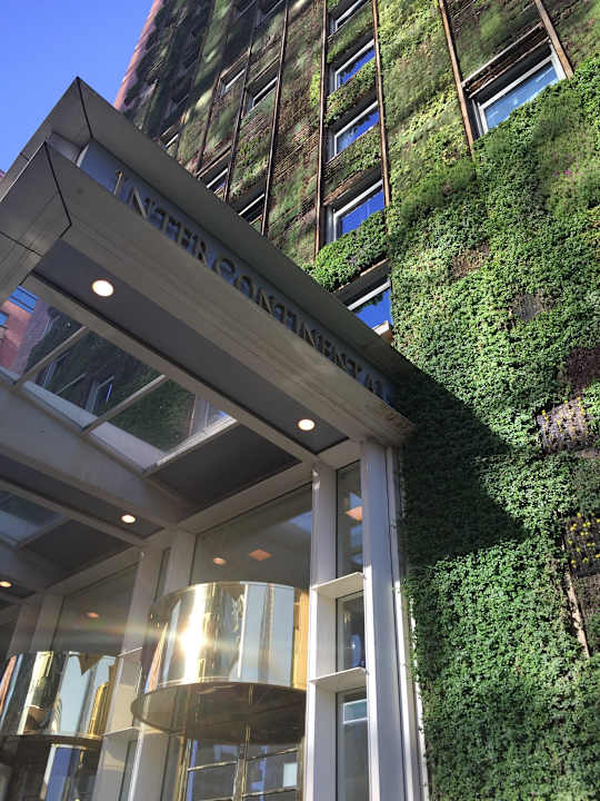 Grass on te walls!!! Hotel InterContinental Santiago