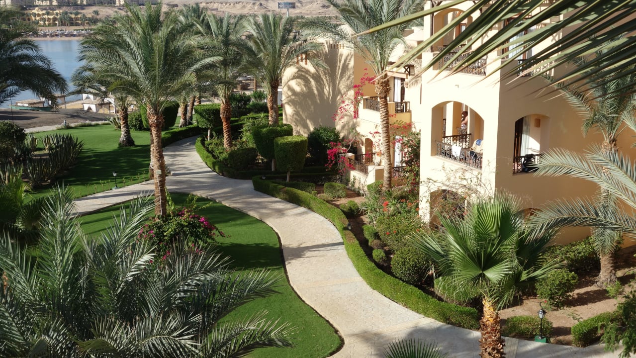 Ausblick aus unserem Zimmer Steigenberger Coraya Beach - Adults only