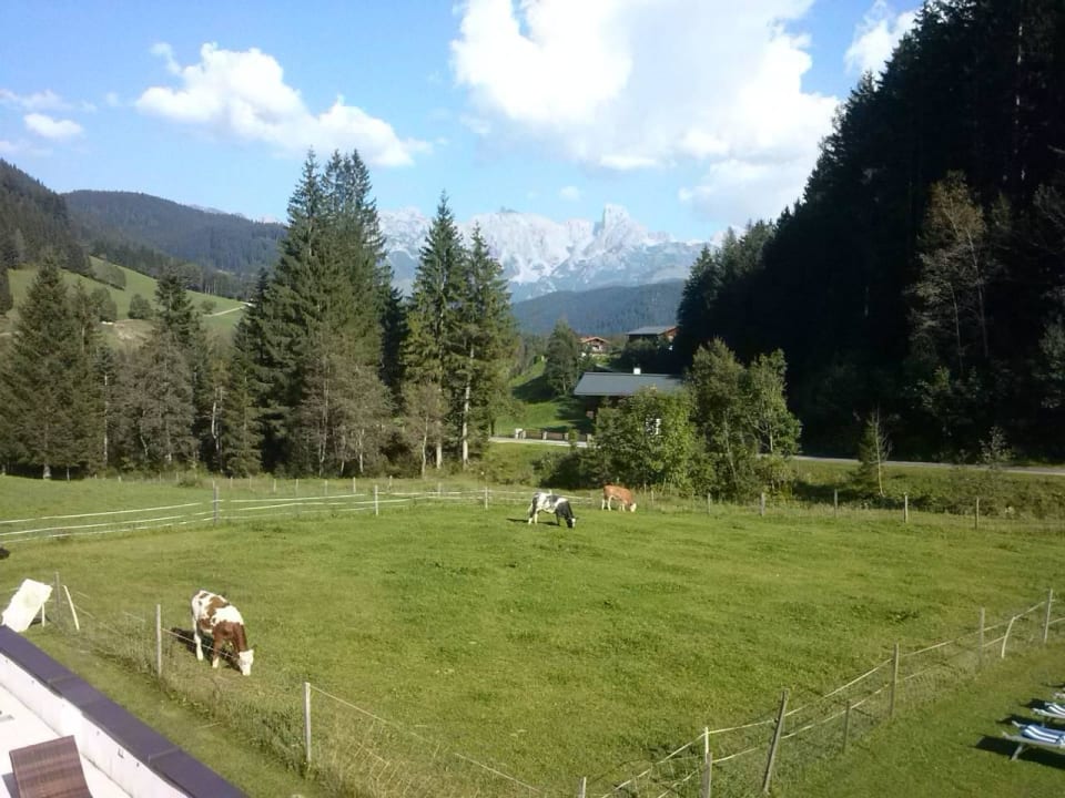 Blick vom Balkon Berghotel Lämmerhof