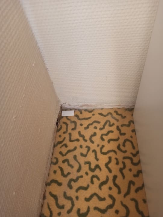 Zimmer SAVOY Hotel Bad Mergentheim