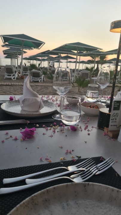 Gastro Paloma Oceana