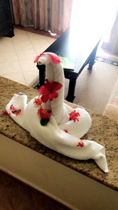 Zimmer Hotel Riu Palace Punta Cana