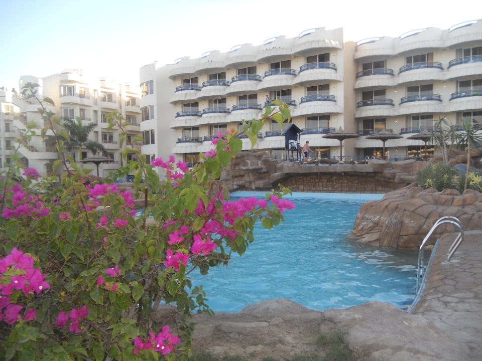 Бассейн Seagull Beach Resort