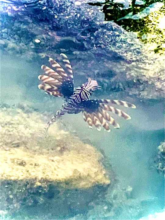 Strand Lagoon Attitude - Adults only