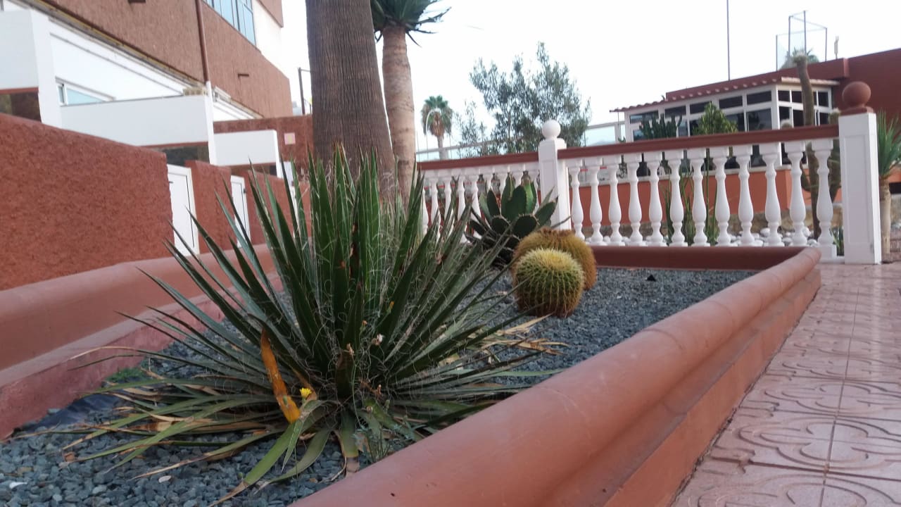 Gepflegter Garten Corona Roja