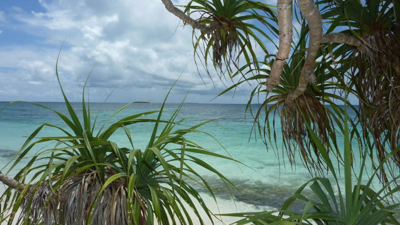 Ausblick Madoogali Resort