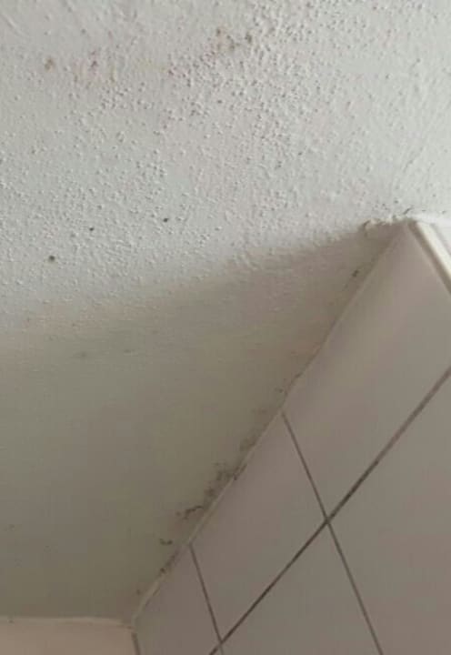 Im Bad, in der Dusche die Wand Appartment Resort Falkner