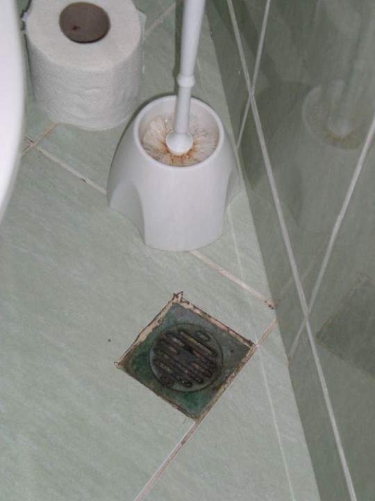 Abfluss und Klobürste von der Toilette Villas Magnolia