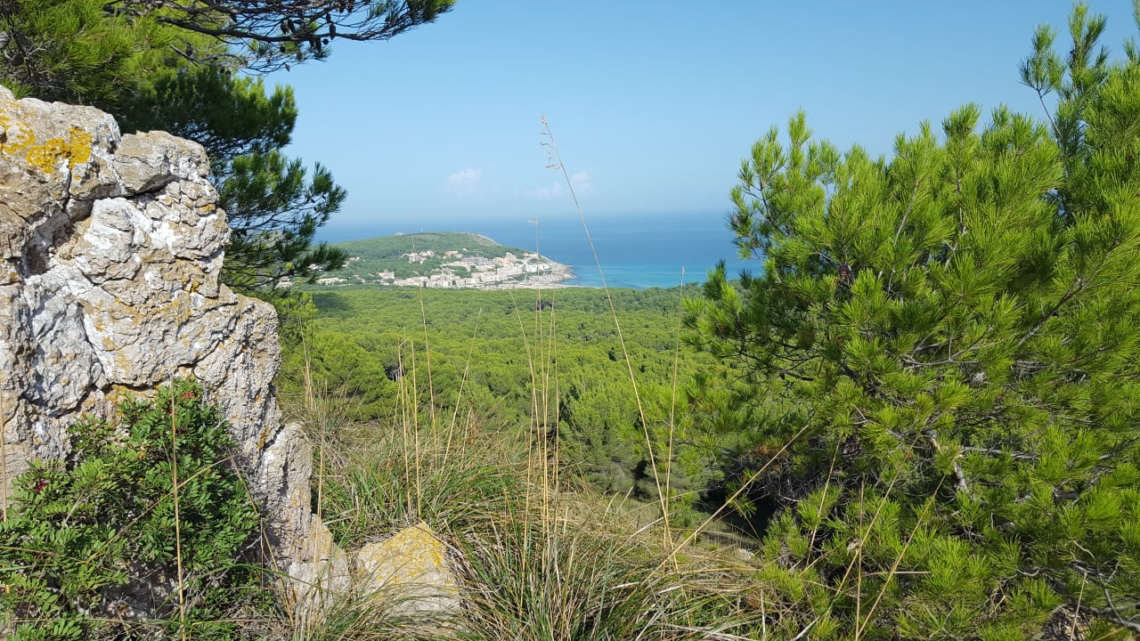 Strand Hotel & Spa S'Entrador Playa