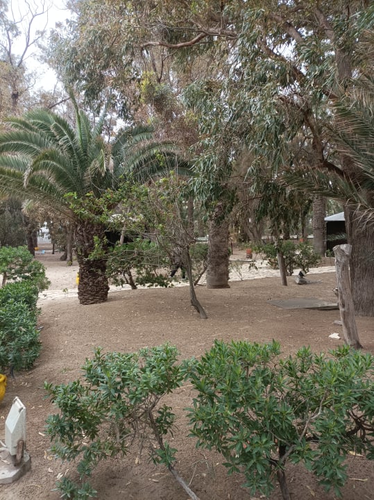 Gartenanlage Marhaba Royal Salem